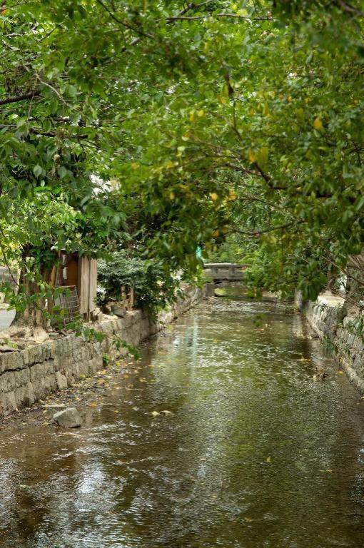 Kyoto Hatsune Hotel Экстерьер фото
